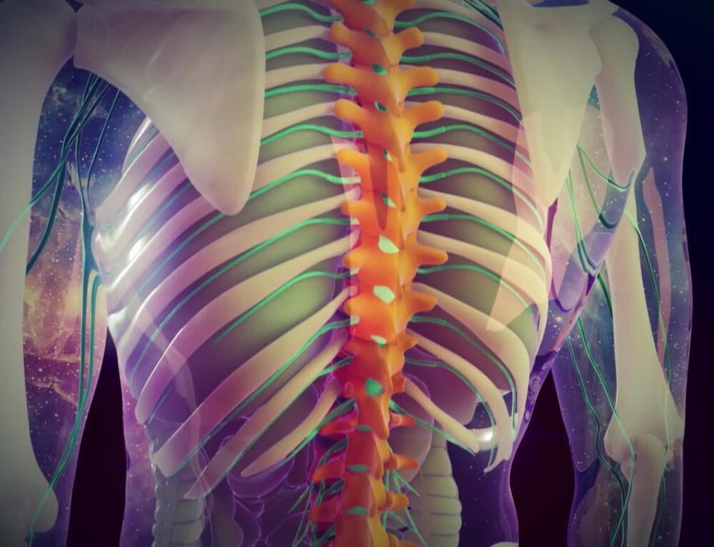 Spine Deformity Types, Causes, and Treatments Sattvik Spine Spine