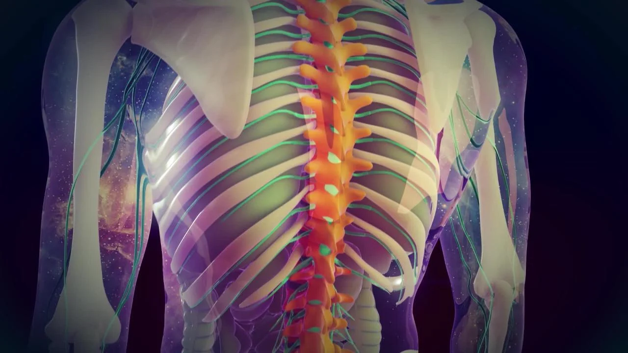 Evaluating Spine Problems: Essential Tests for Accurate Diagnosis