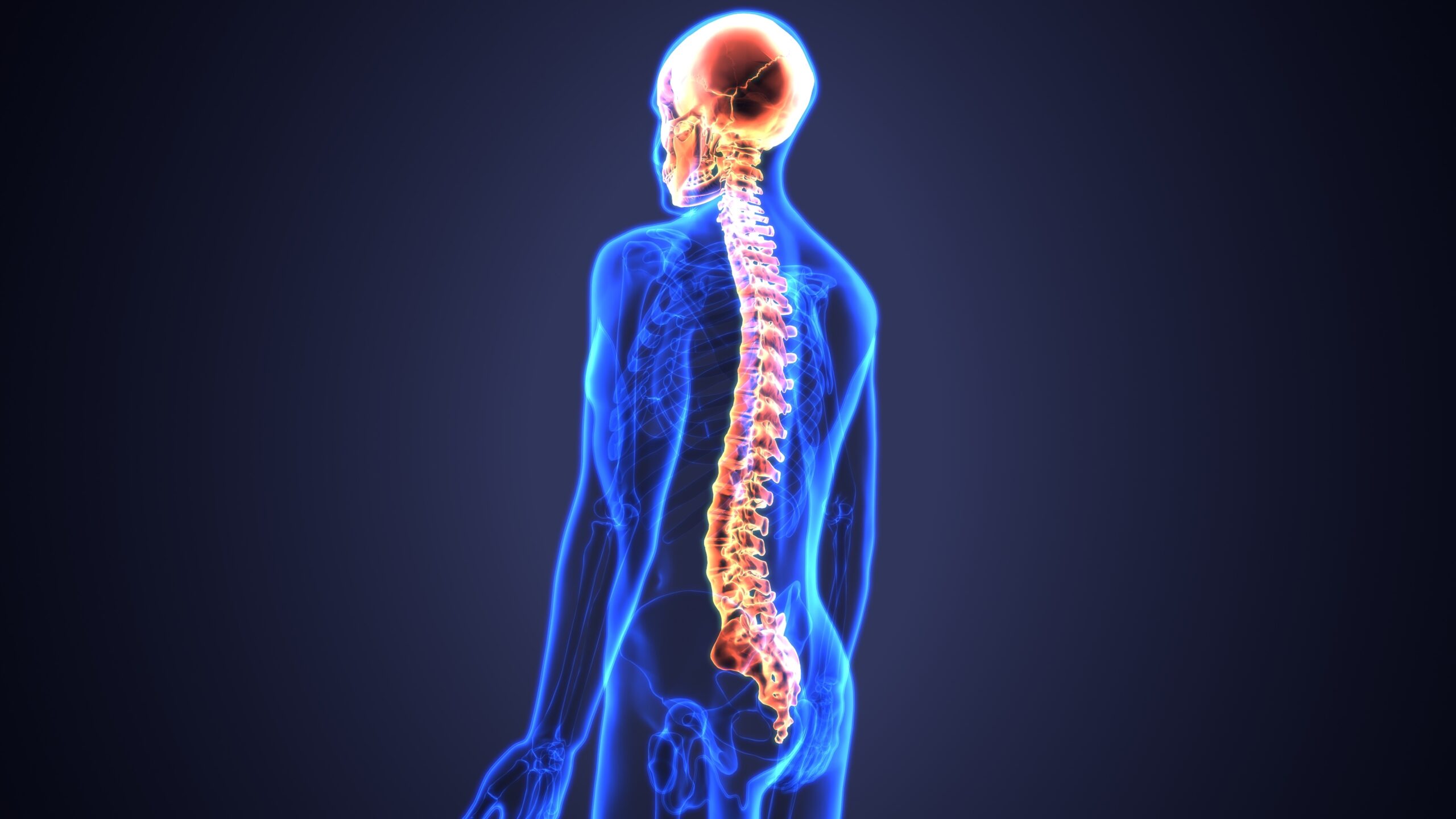 Understanding Spinal Cord Injury: Causes, Symptoms, and Treatment Options
