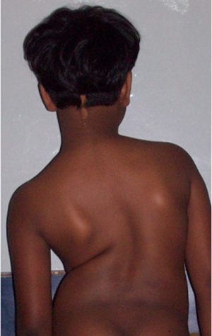 Picture3